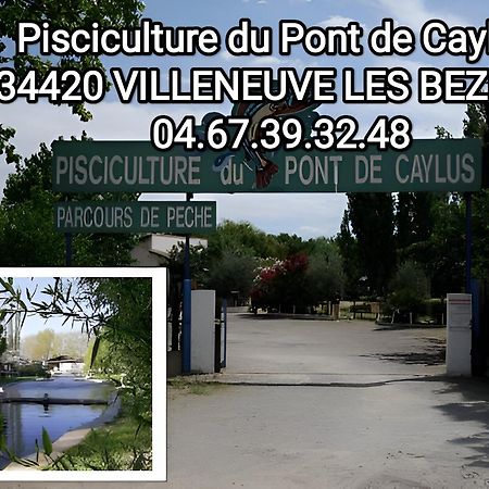 Tiny House 3 Personnes Soeursgrises Beziers Centre Historique Coeur De L'Herault Capitale D'Occitanie Exterior photo
